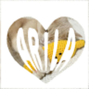 Meet your Posher, Zephyr